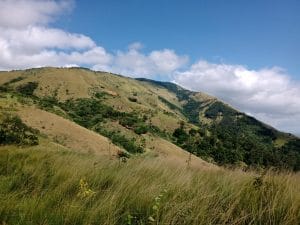 IMG_20230430_111515992