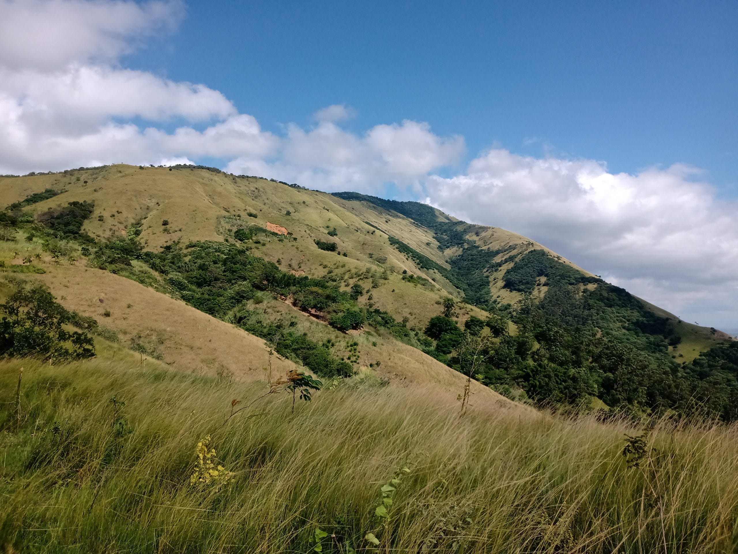 IMG_20230430_111515992