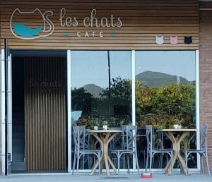 Les_chats1