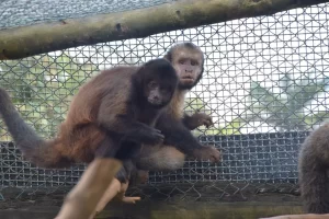 whatsapp-image-2023-05-23-at-16.45.15