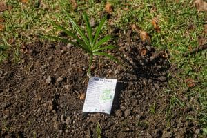 52953685170_90ecc2a86f_o