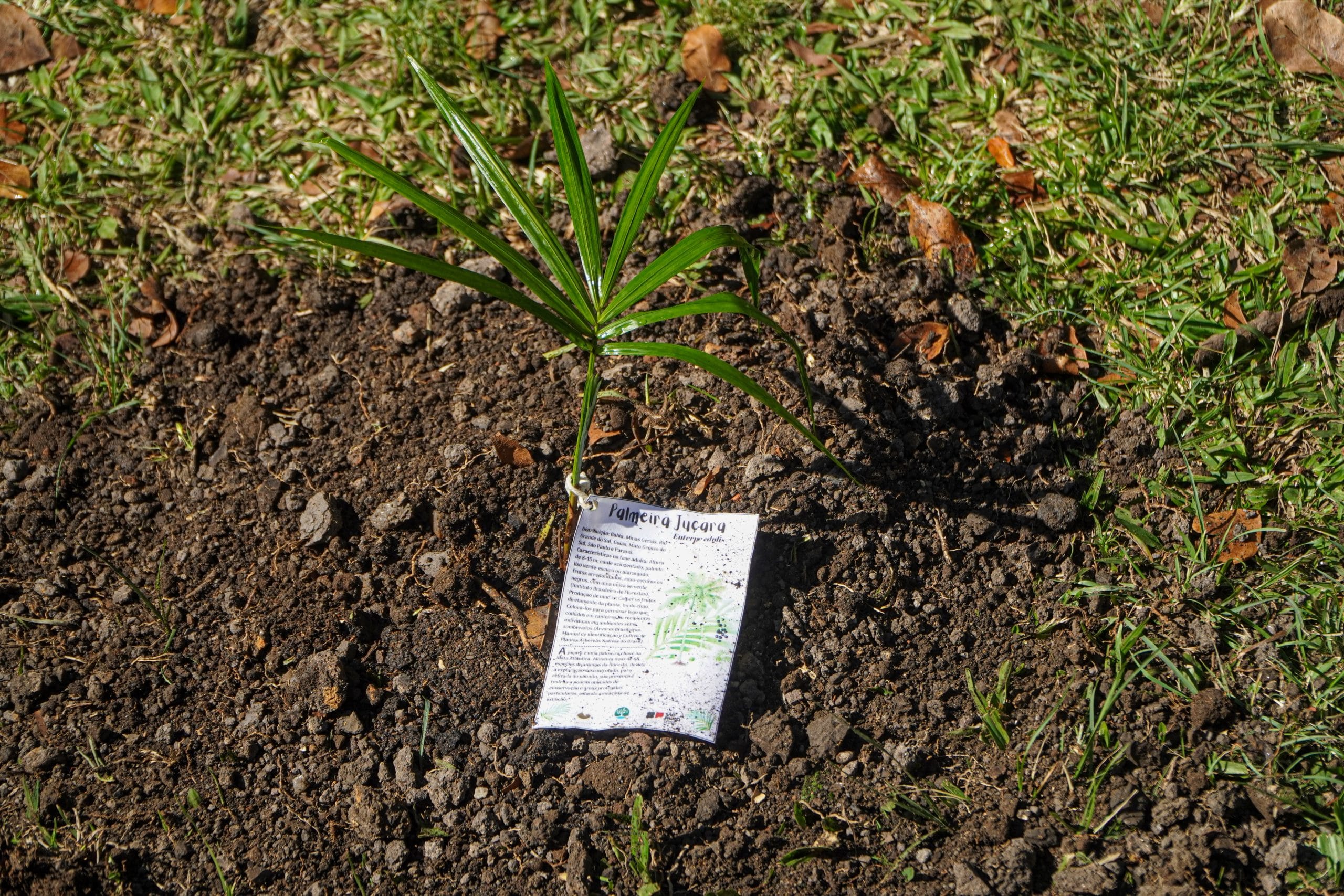 52953685170_90ecc2a86f_o