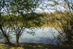 52953687175_f12d9c15d6_o