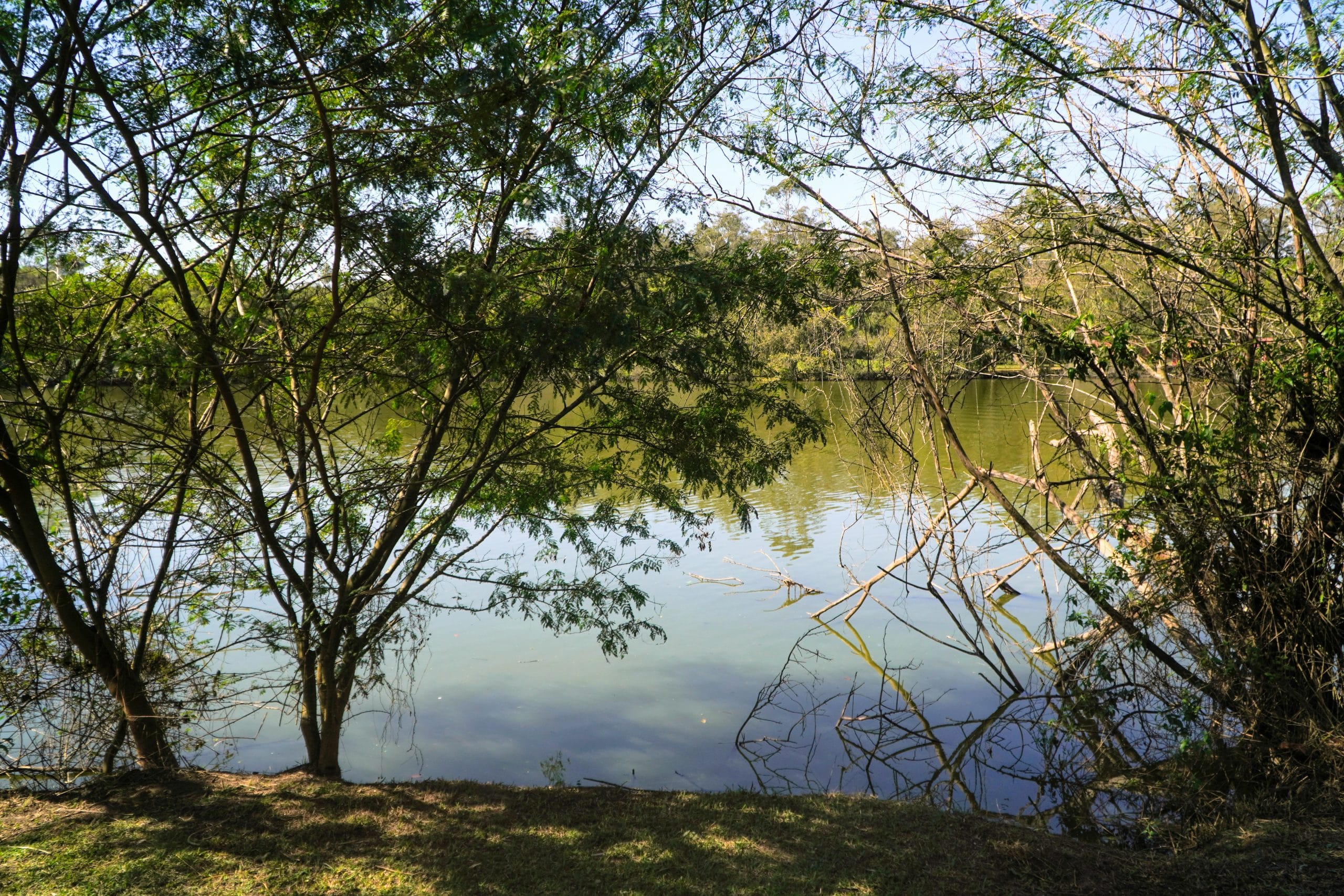 52953687175_f12d9c15d6_o