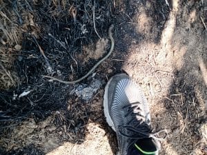 IMG_20230629_111138158