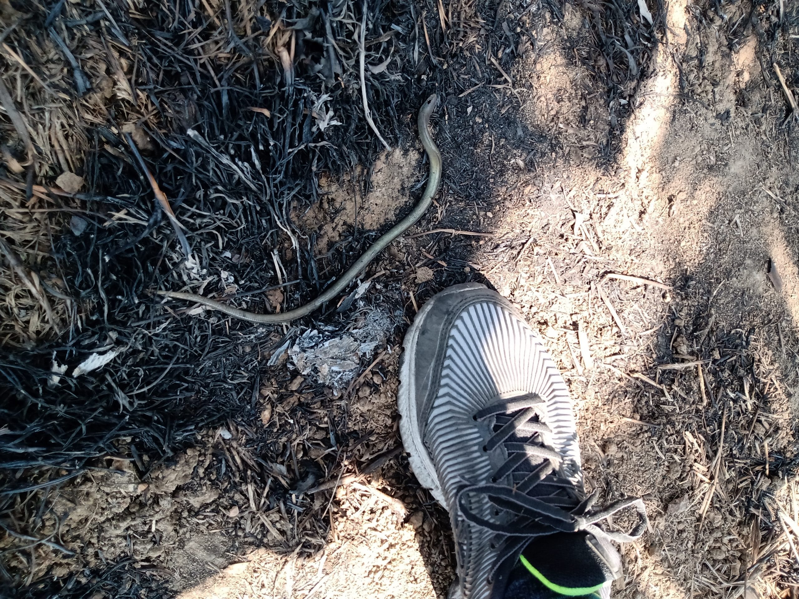 IMG_20230629_111138158