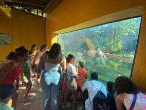 PHOTO-2024-04-04-00-08-25