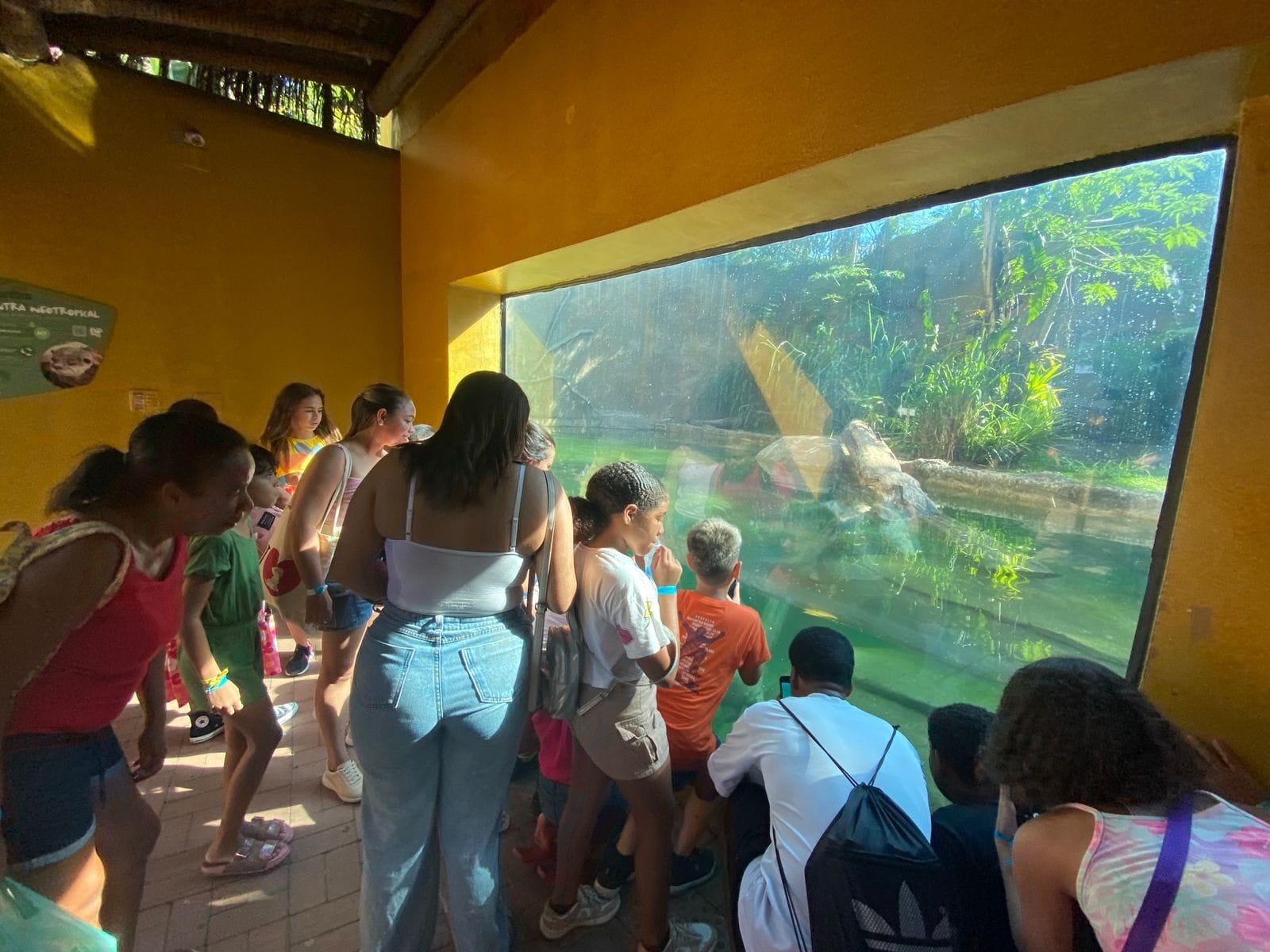 PHOTO-2024-04-04-00-08-25