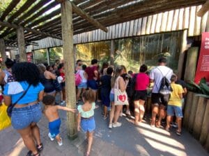 PHOTO-2024-04-04-00-08-26