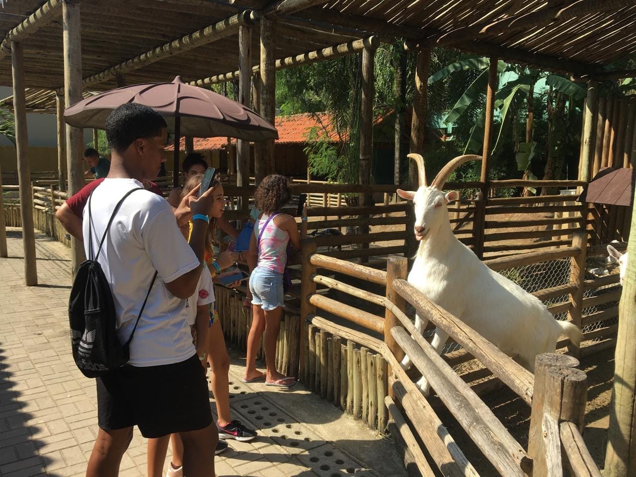 PHOTO-2024-04-04-00-08-27