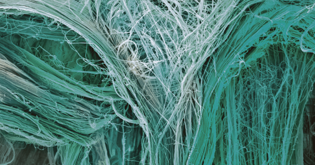 A Importância dos Tendões no Movimento Humano