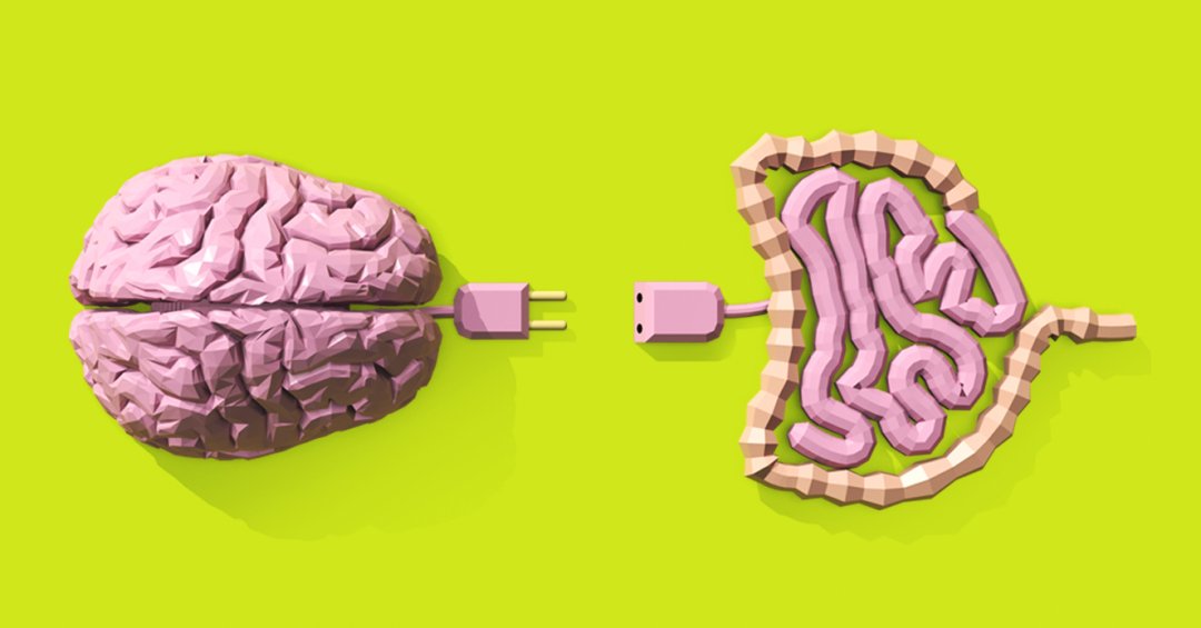 O papel do intestino na ansiedade: descobertas da neurociência