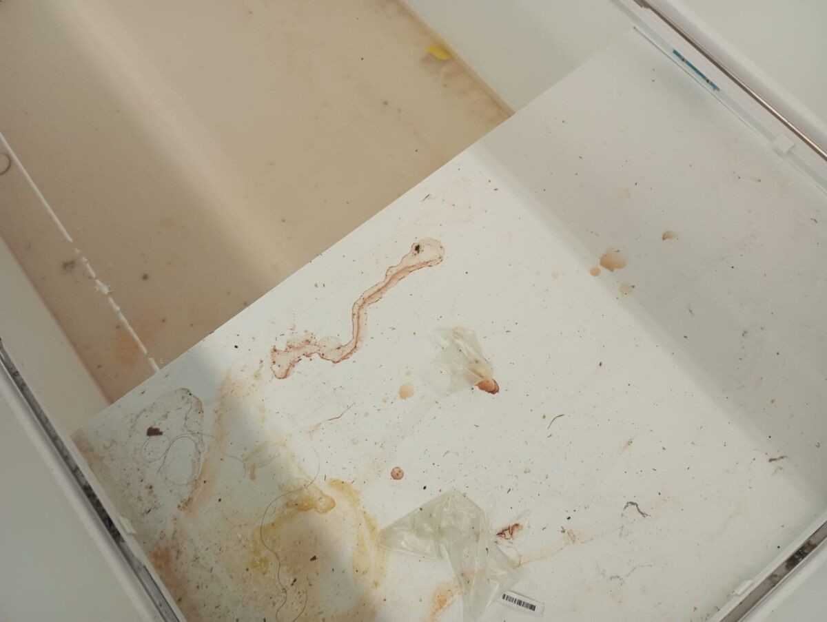 Vigilância Sanitária notifica supermercado de Cabo Frio por irregularidades após vídeo com inseto