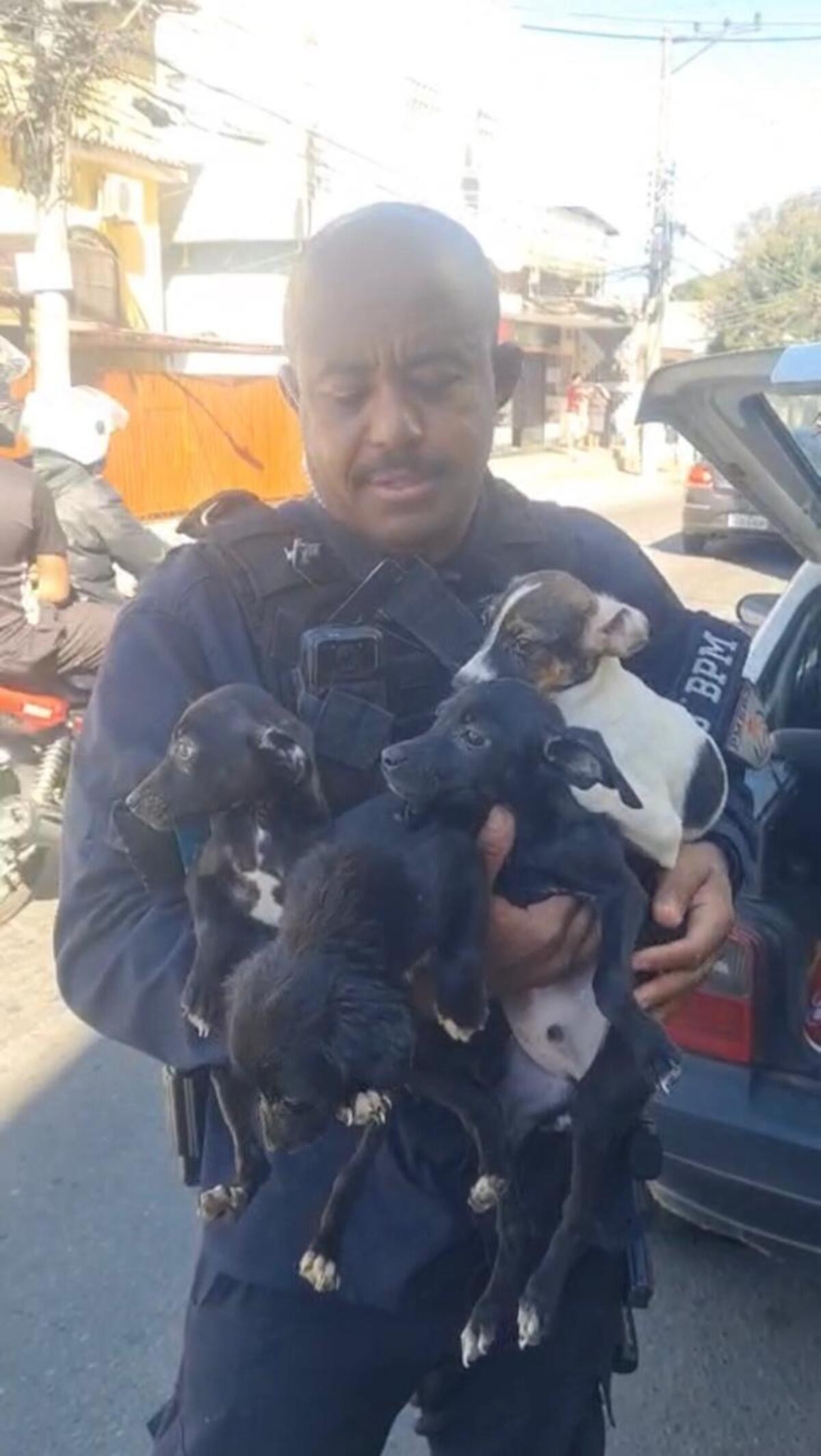Resgate de 15 cães e prisão de três pessoas por maus-tratos em Três Rios