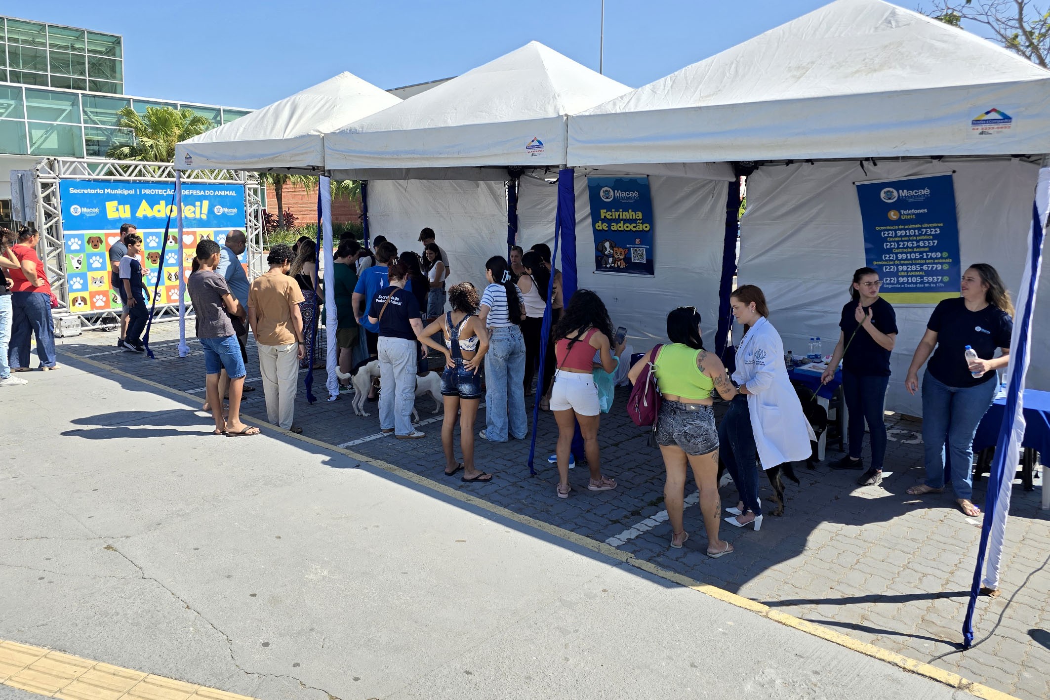 Macaé promove cuidado integral para animais domésticos, reconhecidos como parte da família