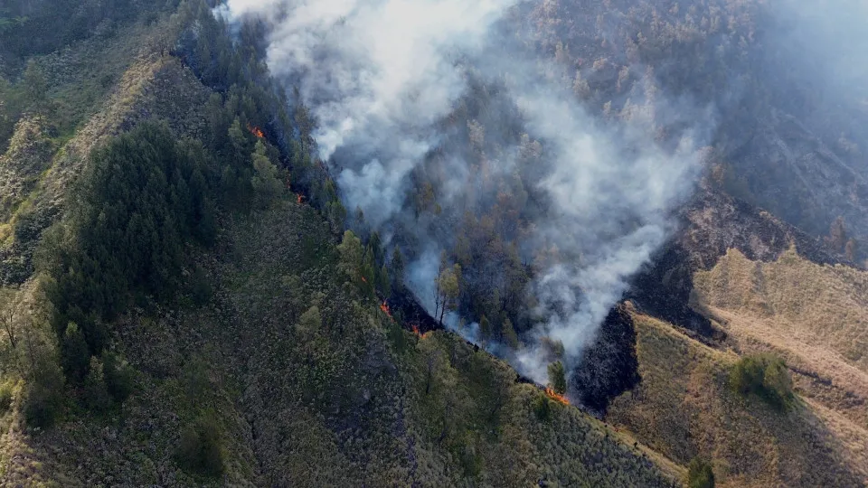 Incêndios Florestais na Indonésia: Escolas Fechadas e Bombeiros Mobilizados