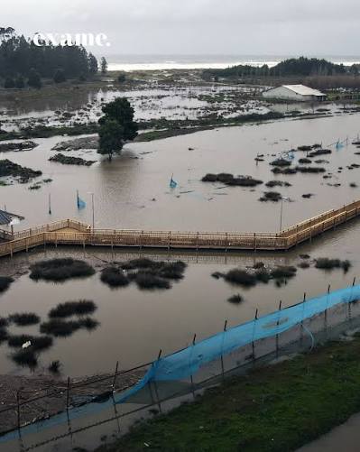 Chile Enfrenta Estado de Catástrofe com Enchentes e Deslizamentos no Norte