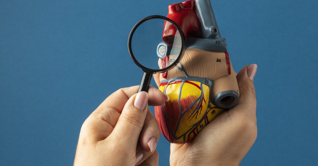 Cardiomiopatia: Entenda a Doença, Seus Tipos e Abordagens de Tratamento